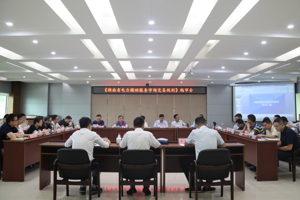 《湖南省电力辅助服务市场交易规则》编审会在株洲航电分乐鱼官方网页版-乐鱼(中国)
召开