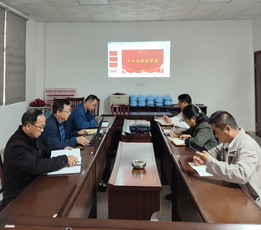 鸟儿巢乐鱼官方网页版-乐鱼(中国)
党支部开展“一课一片一实践”主题党日活动